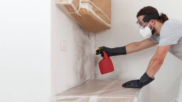 Professional Bathroom Mold Removal technician working in Saint Bonifacius, MN